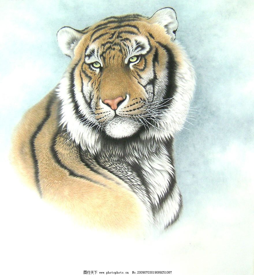 国画老虎 老虎 绘画 工笔画