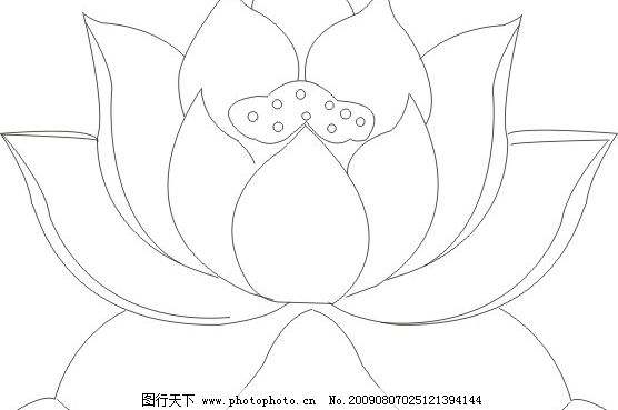 黑白莲花 莲花 莲子 观音莲 生物世界 花草 矢量图库 cdr