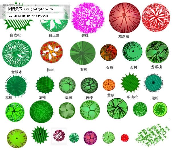 植物群落配置平面图