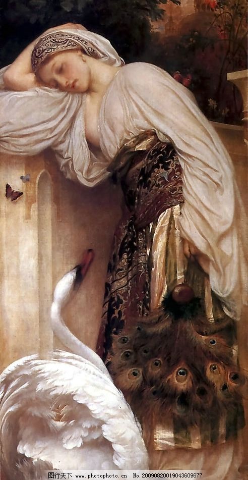 丽达与天鹅图片