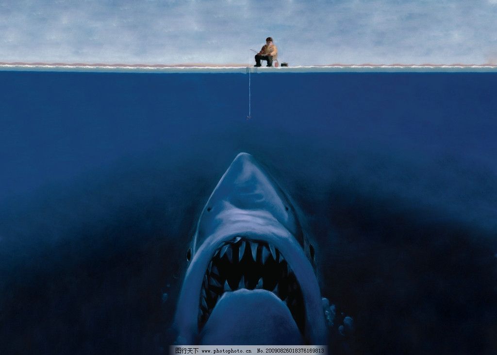 钓鲨鱼图片