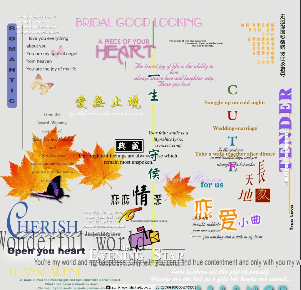 字体字体字艺术v字体字体婚纱设计艺术英文广告设计的学费多少钱图片