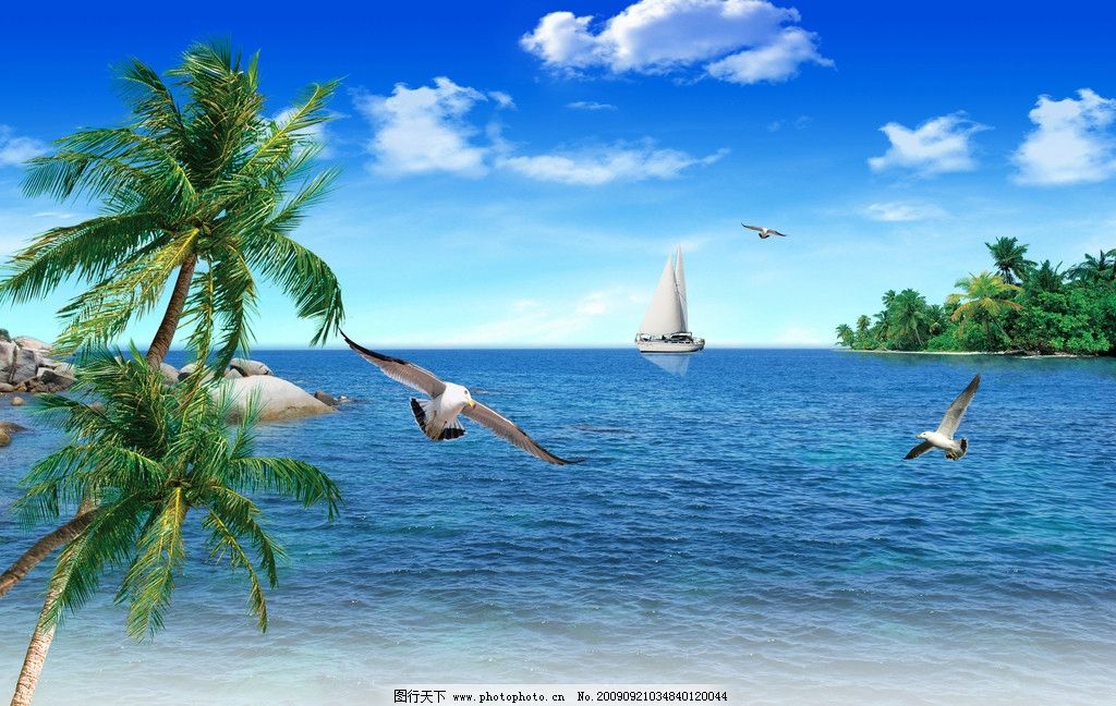 大海 儿童 海洋 蓝天白云 蓝色-蓝天白云大海椰树图片